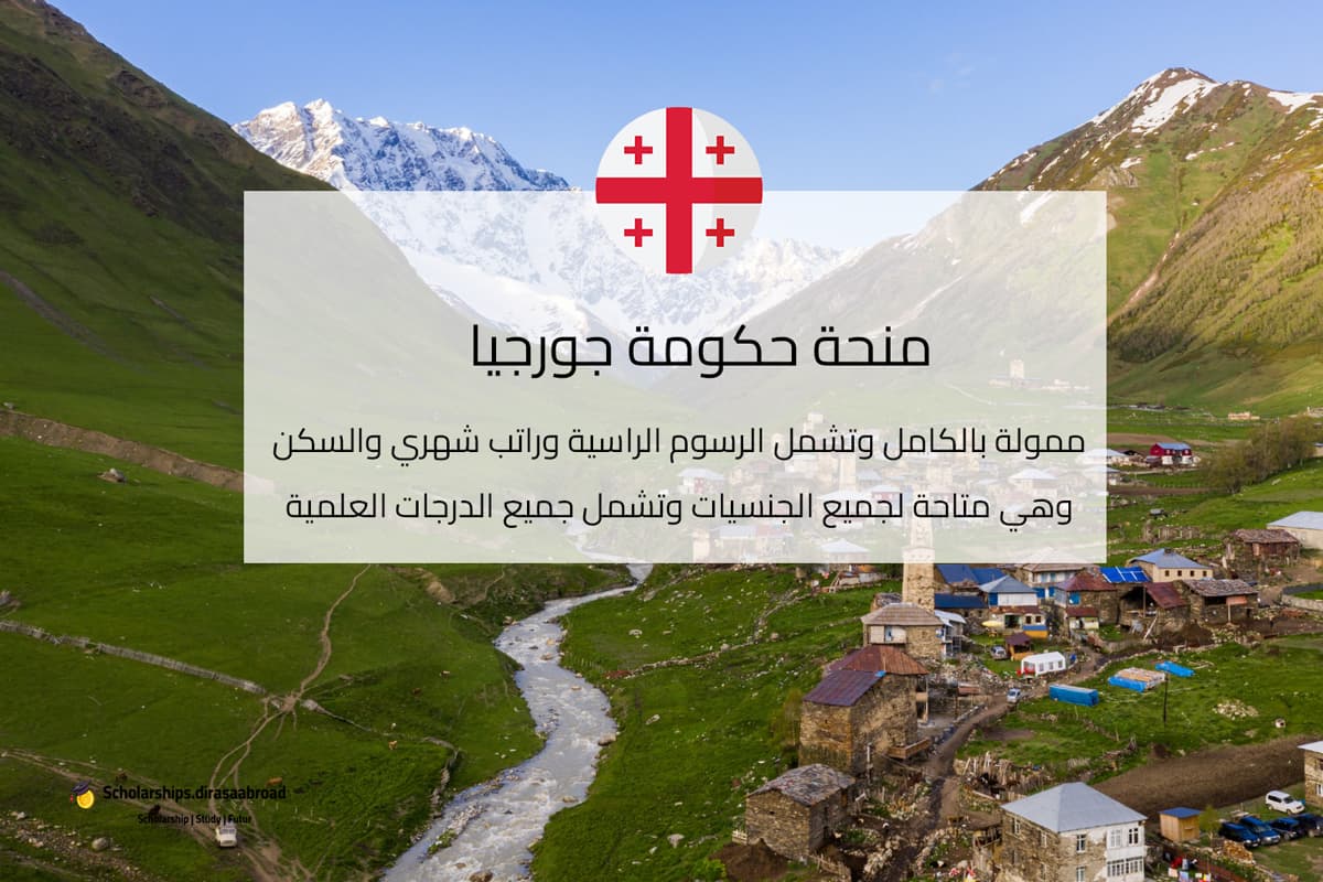 منحة حكومة جورجيا