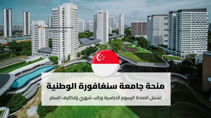 منحة جامعة سنغافورة الوطنية